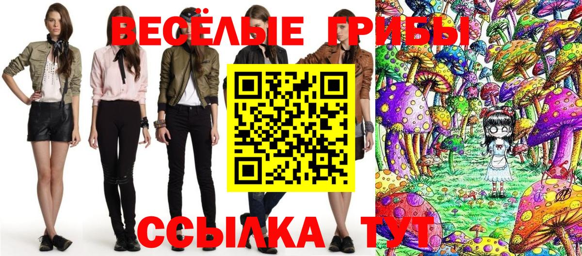 Тулун  Галлюциногенные грибы MAGIC MUSHROOMS  Вход с VPN 