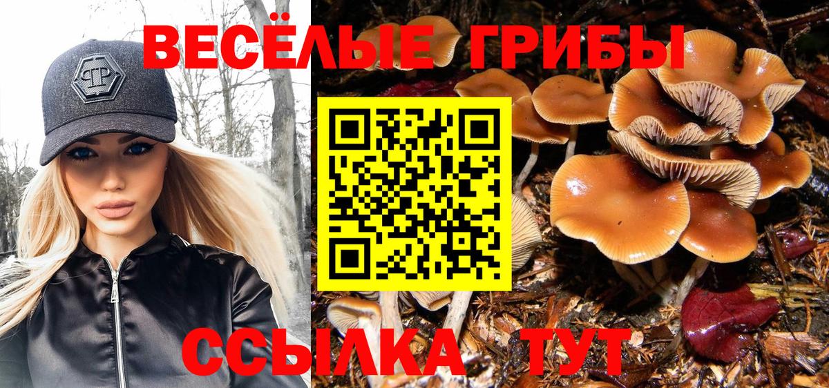 Галлюциногенные грибы мицелий Тулун